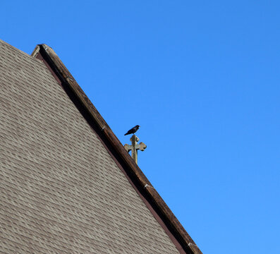 Steep roofline and finial with bird perched on peak against clear sky