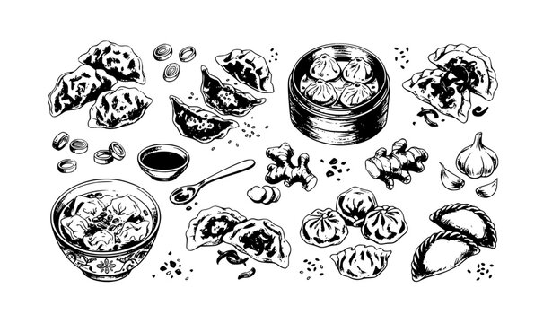 Watercolor hand drawn dumpling vector illustration set with colorful gyoza and wonton food