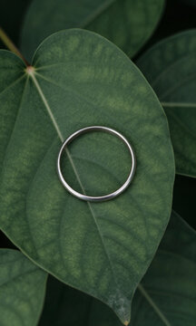 view metal ring lying atop arrangement curved deep green leaves emphasizing organic pattern natural harmony