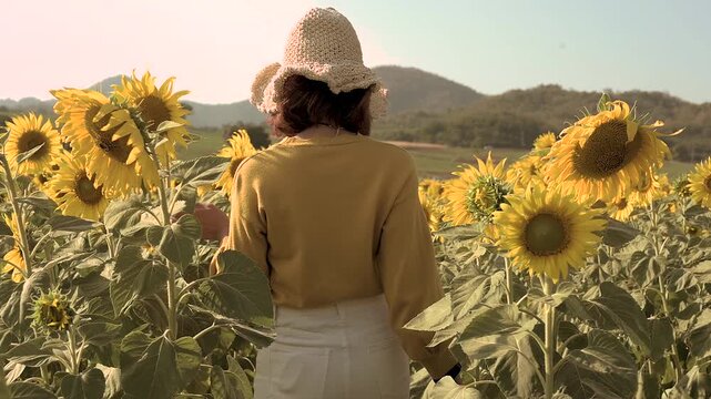 A woman is walking through a sunflower field with yellow sunflowers on both sides. The woman wears a pale sweater and light hat among green foliage and crop rows, with hills in the distance.