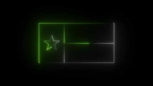 Glowing green neon Texas flag, USA States Texas flag icon animation on black background. 4K motion graphic,,,