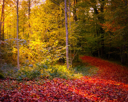 Herbstlicher Spaziergang