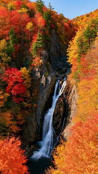a cascading waterfall surrounded by a dense forest. The trees display a spectrum of colors deep reds, oranges, yellows, and greens, creating a vivid contrast against the rocky terrain. The waterfall.