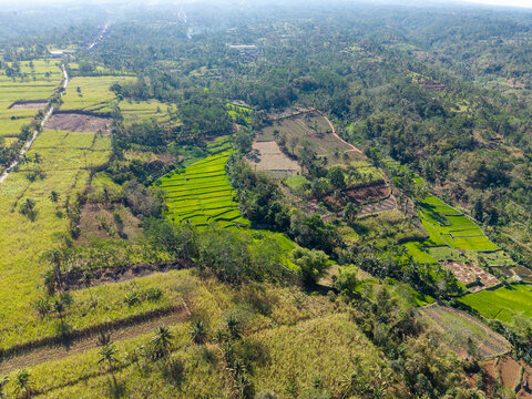Aerial view of lush green rice terraces and agricultural fields surrounded by tropical trees and rural landscape in Ngajum, East Java, Indonesia.