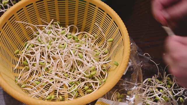 Removing Root Tails from Soybean Sprouts by Hand