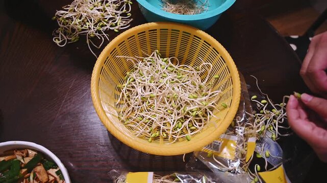 Removing Root Tails from Soybean Sprouts by Hand