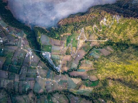 Aerial view of a winding road with a line of jeeps traveling towards Mount Bromo for sunrise, surrounded by lush agricultural fields and misty terrain in Sukapura, East Java, Indonesia.