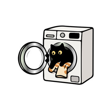 Cute Cat Hiding Inside a Washing Machine While Doing Laundry