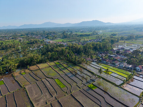 Aerial view of lush rice paddies, agricultural fields, and small village houses nestled among palm trees with mountains in the background in Candipuro, East Java, Indonesia.