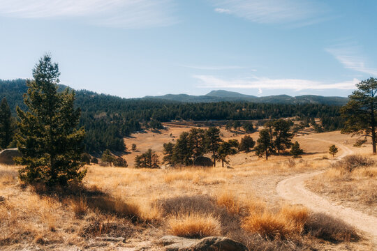 Dirt trail winding through a golden grassy meadow with pine trees and distant mountains in autumn