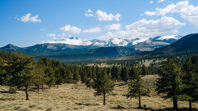 Snow-capped peaks rising above a ponderosa pine forest, Rocky Mountain National Park, Colorado