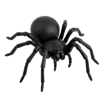 Realistic black tarantula spider