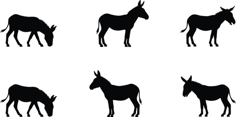 Fototapeta premium Set of black donkey silhouettes in various poses including standing, walking and grazing on white background