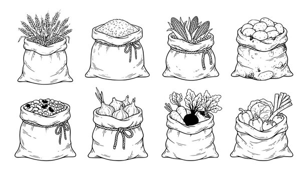 Harvest Sacks Line Art Vector Set with Wheat Rice Corn Potatoes Beans and Farm Produce