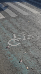White painted bicycle symbol marks asphalt road surface, as vertical optical framing presents zebra crossing lines and scattered dry leaves. © wahid HA