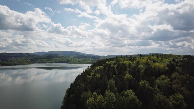 Shore of water reservoir with forest under blue sky at sunny summer day. Aerial view.