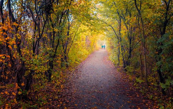 A young couple in blue jackets on the treck in a misty autumn forest. Colorful afternoon scene of Austrian Alps. Amazing autumn view of foliage woodland. 