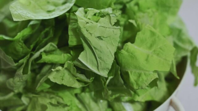 Fresh Chopped Taiwanese Bok Choy in a White Cooking Pot