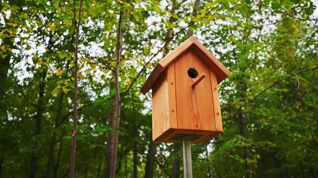Natural wood birdhouse with pitched roof, circular entrance hole, small wooden perch. mounted on vertical metal pole amid green grass, leaf litter, tree trunks