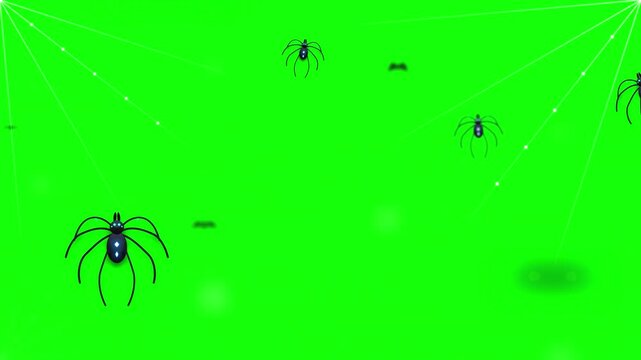 Spooky Animated Spiders Crawling on Webs for Halloween Background