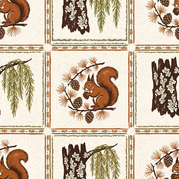 Seamless pattern featuring charming hand drawn squirrels with pine cones and forest tree bark textures in a vintage folk art style for rustic textile design and decorative wallpaper