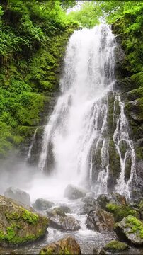 Waterfall flowing rapidly over mossy rocks in a lush green tropical rainforest wilderness landscape video