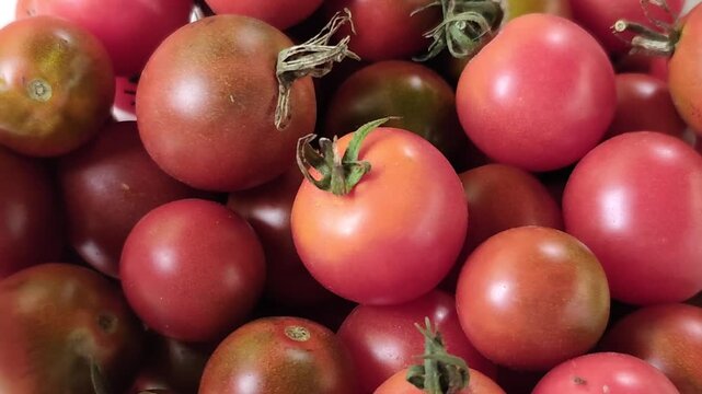 Tomato plants growing in rows on a vegetable garden bed with ripe and unripe tomatoes, soil and wooden supports in natural outdoor conditions.
