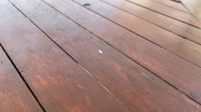 Perspective View of Brown Wooden Terrace Decking with Dry Leaves