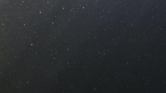 Floating dust particles illuminated by soft light beams against a dark moody background in water