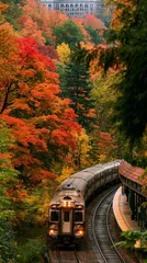 a train traveling through a lush forest during autumn. The train, with its lights on, is the main subject. The forest is a tapestry of vibrant red, orange, yellow, and green. © rabbit75_fot