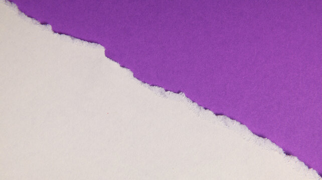 White paper with torn edge and diagonal division across the composition purple background.