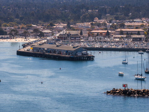 Aerial perspective showcases the coastal town of Monterey in California, featuring boats anchored in the harbor, the municipal wharf, and sea lions resting along the rocky breakwater.