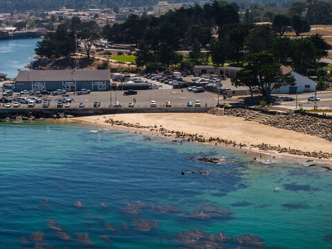 Aerial shot of sea lions gathered along the sandy shoreline of San Carlos Beach near the marina parking area and turquoise ocean waters in Monterey, California.