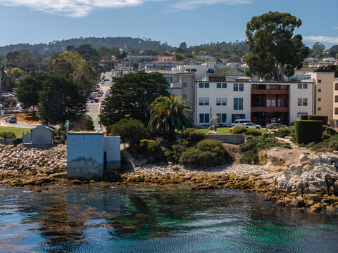 Monterey waterfront features rocky shoreline with kelp in clear ocean water, coastal residences, palm trees, and an ascending street lined with buildings and vehicles under sunlight.
