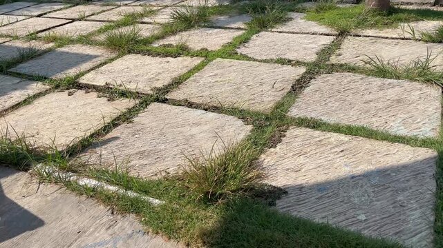 Side angle shot of outdoor stone paving blocks with green grass