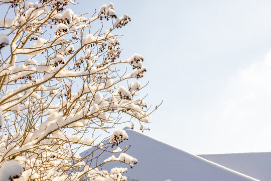 sonnige Winterlandschaft:  schneebedeckte Zweige vor pyramidenartigem schneebedecktem Dach und hellem Winterhimmel