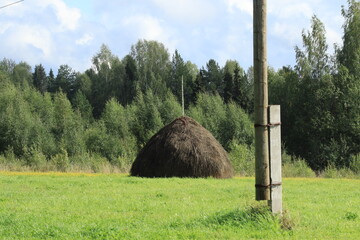 A haystack in a meadow in a summer forest. © алексей семиколенных
