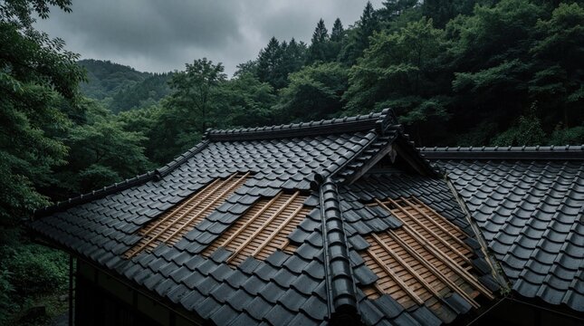 Damaged black tiled roof with exposed wooden beams, missing shingles. Old house structure shows decay in green forest area. Broken roof tiles reveal wood underlayment near dense trees. Residential