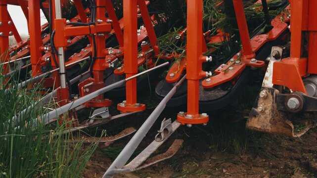 machine for harvesting grass herb green onion from field in action. close-up mechanized process of cutting green onions. sharp bladed knives pick onions. harvester use and maintenance. cleaning blades