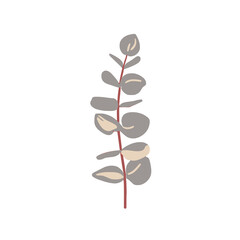 Stylized eucalyptus branch illustration © asih