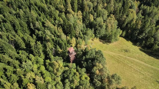 Rabka-Zdr&oacute;j - Polczak&oacute;wka - g&oacute;ra w Beskidach nagana z drona, piękne widoki w słoneczny dzień na Beskidy, i wieże widokową, jesień, lato, wiosna, las, g&oacute;ry