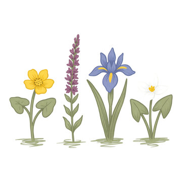 Colorful illustration of four different flowers with green leaves isolated transparent