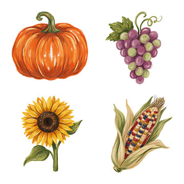 Colorful autumn harvest vegetables and fruits isolated transparent background