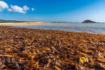 Mar de algas baradas en el complejo dunar de Corrubedo, Galicia © AcasPhotography