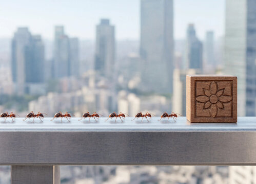 A line of ants marching towards a wooden block on a railing with urban cityscape background