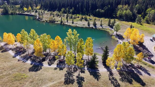 Quarry Lake aerial landscape with autumn yellow trees and majestic Canadian Rockies. Canmore, Alberta, Canada.