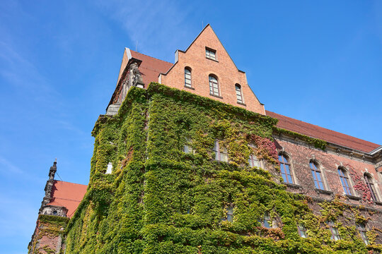 Brick building with facade covered by climbing plants and red tiled roof