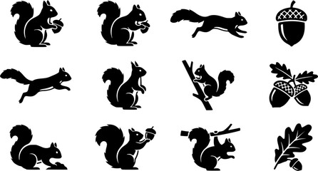 Fototapeta premium Squirrel & Acorn Silhouette Icon Set. Collection of nature & wildlife silhouettes, including squirrel & acorn, detailed land mammal shapes, and more.