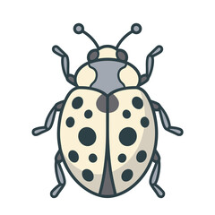 Stylized ladybug illustration isolated on transparent background © midah