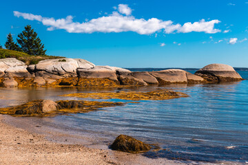 Fototapeta premium Large Coastal Rock Formations and Seaweed at Low Tide Deer Isle Maine